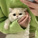 今天干了三碗饭