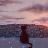 桐月星辰