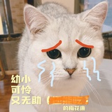 不是鹿的鹿