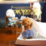 爱恰香蕉的小说家