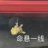 要看星星吗