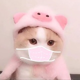 没有感情的🐷