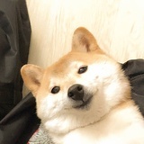 追更烧心人