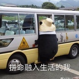 自律早睡