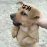 我的蕾姆蕾姆蕾