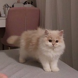 等风来
