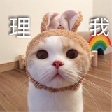 角色扮演