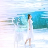 听海声音