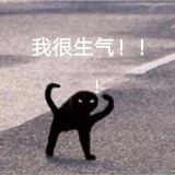 鱼鱼鱼