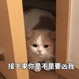 發财指定NPC