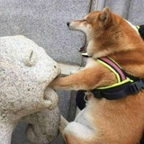 抽筋的牙签鸟