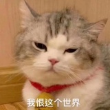 天狼星