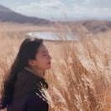 林中月
