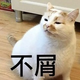 豆友191011558