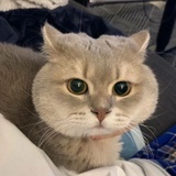 赵简