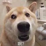 看我锤你