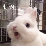 砰啦