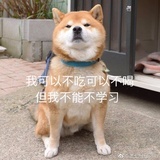 小巫艾米莉