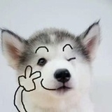 岑