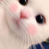 Su