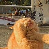 给你一定子
