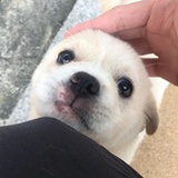 豆友191085172