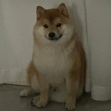 Kiho
