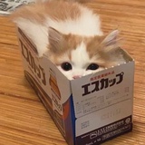 还有一天放假了
