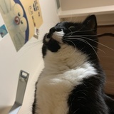 阿陳_