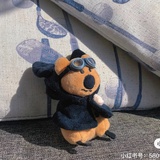 一只小鼠