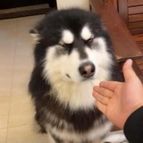 你在豆我吗