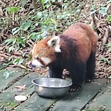 枫溪
