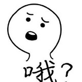 陆枚枚