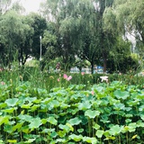 做人要知足常乐