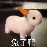 倪果儿
