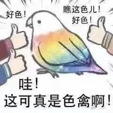 一只色禽