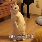 嘤嘤嘤