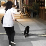 明天也想见到你