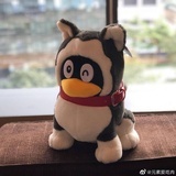 会魔法的麻瓜