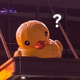 维维