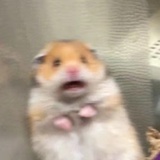 菓秄