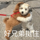 逸清风