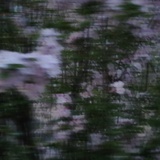 荒山绿子