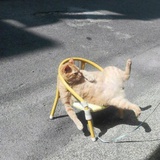 闲杂人