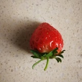 原始草莓🍓