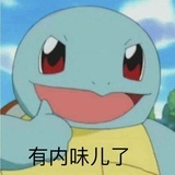 硬核猪