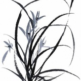 璇