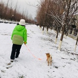 掠惠佶