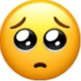 博士顺利毕业