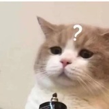 肆虐韩娱安正勋